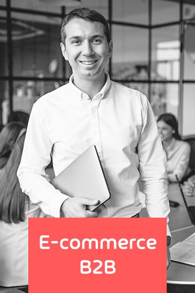 E-COMMERCE B2B consultoria ecommerce b2b 1 - E-COMMERCE B2B