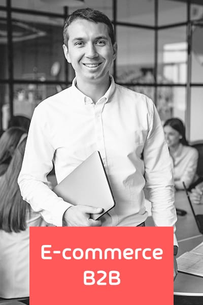 Consultoria para E-commerce B2B